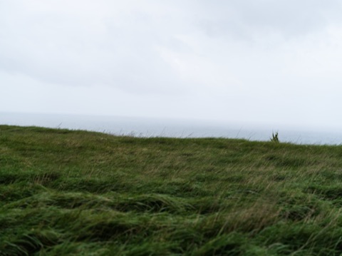 Herbe couchée par le vent en haut d'une falaise normande, mer et ciel gris