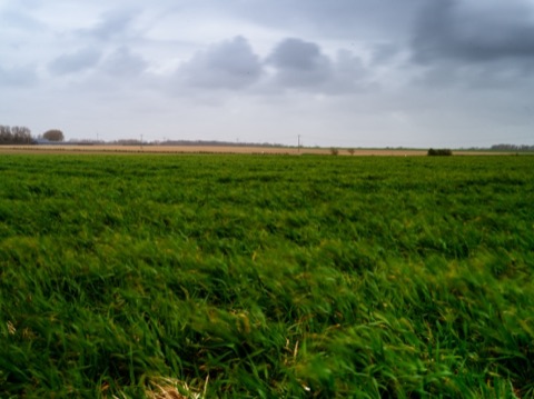 Champ vert plat de Normandie sous un ciel de nuages lourds